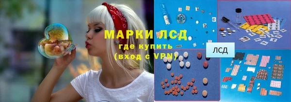 ПСИЛОЦИБИНОВЫЕ ГРИБЫ Аркадак