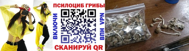 Псилоцибиновые грибы Psilocybine cubensis  Купить  Гремячинск 